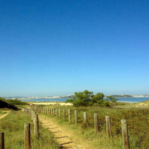 Cammino di Santiago - Settembre 2026