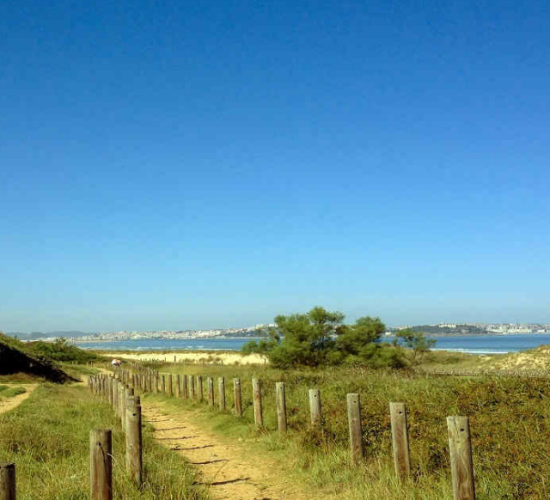 Cammino di Santiago - Settembre 2026