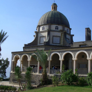 pellegrinaggio (terra santa)