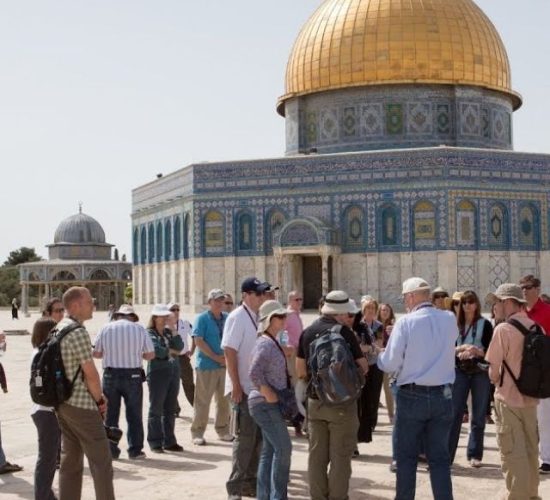 Pellegrinaggio in Terra santa