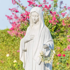 flowers medjugorje